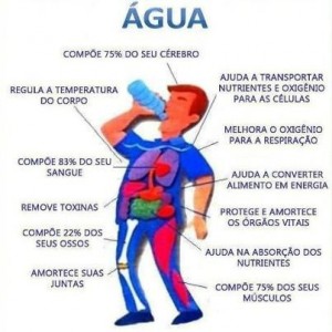 agua