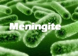 Menigite