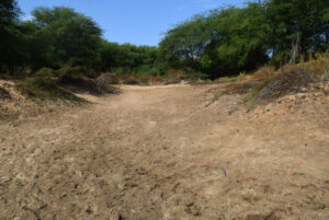 aguada-vazia-brumado-noticias-43