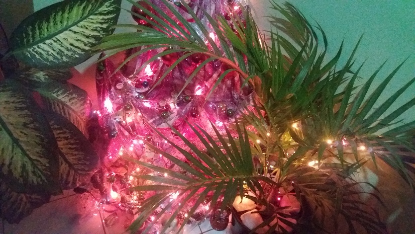 20170114_205649