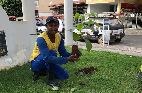 replantio-de-arvore-praca-zeca-leite-brumado-noticias-15